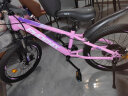 凤凰儿童山地自行车单车6-12小学生中大童女男孩减震变速辐条20寸粉色 晒单实拍图