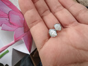老银匠s925银贝壳耳钉简约气质时尚贝享耳钉小众设计女款个性银耳钉 实拍图