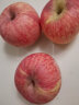 顶端果业陕西红富士洛川苹果礼盒40个75mm水果16斤甄选苹果单果180-220g 实拍图