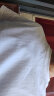 回力纯棉短袖男女2024新款体恤重磅宽松男装情侣t恤衣服夏季男士半袖 白色(纯色) L(建议115-135斤左右) 晒单实拍图