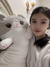 捉趣（ZHUOQU）猫咪抱枕公仔毛绒玩具女孩长条玩偶冰丝睡觉夹腿抱枕女生生日礼物 灰色【独立内胆】 130cm 实拍图