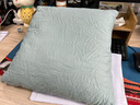 德升（DERCHINS）乳胶碎料抱枕 靠枕 沙发大靠垫抱枕靠背垫布艺家居抱枕 竹炭抱枕东仓 40cm*40cm 实拍图