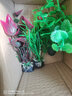 森森（SUNSUN）鱼缸造景水族装饰水草植物摆件水族箱造景仿真水草前中景草 ZJ-101B 实拍图