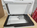 爱普生（EPSON） DS1610扫描仪双面高速高清A4文档文件自动连续进纸PDF合同平板二合一 DS-1630(每分钟25张+USB单机版） 实拍图