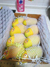 春福乐 【顺丰速运】海南三亚青皮澳芒 现摘芒果新鲜水果礼盒装 大果8斤丨较划算丨单果350g+ 陆运一级果【性价比推荐】 实拍图