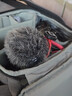 RODE 罗德麦克风 VideoMicro 指向性单反相机机顶收音话筒手机电影短视频采访直播vlog 【相机适用】官方标配 实拍图