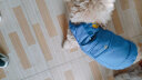 SLPC狗狗衣服冬季小型犬棉衣中型泰迪雪纳瑞柯基衣服马甲保暖宠物衣服 宝蓝色 XL（建议11-19斤狗狗） 晒单实拍图