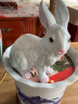 鸿日光辉 仿真动物小白兔子摆件景观公园树脂雕塑工艺品花园林庭院户外装饰品 款2 实拍图