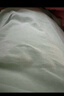 真维斯（JEANSWEST）T恤女夏季薄款圆领打底衫内搭短袖纯棉白色纯色上衣百搭白色L 实拍图