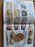 DK风靡全球的欧式蛋糕烘焙教科书 晒单实拍图