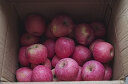 苹之都 烟台苹果水果红富士苹果新鲜脆甜整箱应季生鲜果山东特产平果 红富士带箱10斤 75# 实拍图