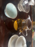 76台湾76玻璃公道杯带茶漏套装家用加厚透明分茶器茶海功夫茶具配件 茗旦公杯280ml套组 实拍图