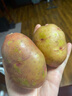 中鲜生 云南红皮黄心小土豆新鲜蔬菜火锅食材 大土豆5斤（比鹅蛋还大） 实拍图