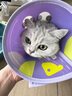 KimPets宠物伊丽莎白圈猫咪防舔头套狗狗防抓挠防咬项圈脖圈绝育驱虫用品 【轻盈无拘束】大眼萌萌 M(颈围24-31cm 适合6-13斤宠物) 实拍图