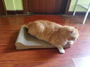 美悦宠物 实木猫抓板磨爪器猫爪板护沙发瓦楞纸磨爪板猫咪用品猫窝大号 长50厘米 替换装 实拍图