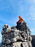 鹰图（OUTDOOR INOXTO） 自行车骑行包透气轻便户外越野野营双肩包徒步登山包水袋背包20L 草绿色+防雨罩 实拍图