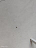 巴斯夫杀虫剂喷雾灭蟑螂蚂蚁苍蝇臭虫蚊子小飞虫下水道管道16ml 晒单实拍图