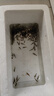花百年黑壳虾除藻清洁工具虾大号去绿藻黑藻去苔宠物虾鱼活体饲料观赏虾 顺丰 大号黑壳虾雌雄随机80+20 晒单实拍图