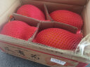 新疆黄皮哈密瓜 3-4粒原箱装 净果8-9kg以上 甜瓜 新鲜水果 实拍图
