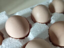 葛溪正太年货鲜鸡蛋 无激无抗 早餐 营养鸡蛋  农场直供10枚/45-50g/枚 实拍图
