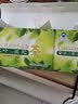 樱花三叶决明子山楂减肥茶减肥+创喜牌西洋参决明子紫苏茶通便共40袋 40袋*1盒 实拍图