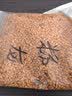 誉满园（yumanyuan）蔷薇花种子爬藤月季四季开花爬墙攀援庭院室花卉盆栽植物玫瑰种子 实拍图