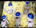 欧梵普（oufanpu）生日礼物男生宇航员太空人摆件创意桌面装饰同学送小朋友生日礼物 宇航员摆件大头套装【礼盒装】 晒单实拍图