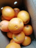 俏背篓 秭归血橙中华红橙现摘新鲜水果当季红心橙子甜橙爆汁血橙橙子 5斤中大果 实拍图