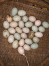 白荡里（SWING LAKE）【顺丰包邮】白荡里绿壳散养新鲜土鸭蛋农家生态麻鸭蛋现捡现发 30枚新鲜土鸭蛋 晒单实拍图