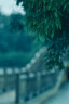 MEKE美科 85mmf1.8全画幅自动对焦镜头静音马达定焦镜头适用微单E卡口，X卡口，Z卡口 F卡口（DC马达） 实拍图