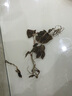 康裕尊  金线莲干品林下种植整株福建南靖土楼 【深山生长金线莲/250克】 实拍图