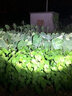 SANJICHA 强光头灯超亮充电远射超长续航夜钓鱼专用户外头戴式照明灯矿灯 【29000W】变焦二电款 2锂电 实拍图