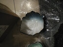 玉泉陶瓷挪威海岸北欧餐具盘碟单品家用筷盘陶瓷简约窑变釉陶瓷碟盘 叶子果碗 实拍图