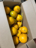 青舞正宗广东德庆皇帝柑贡柑新鲜水果精选大果非沃橙橘桔子装孕妇水果 10斤礼盒装甄选特大果（净9.2斤） 实拍图