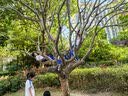 巴拉巴拉童鞋儿童运动鞋男童女童透气网布鞋秋季2024鞋子轻便208324140206 实拍图