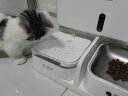 鳥語花香自动喂食器宠物饮水机智能监测一体化猫粮狗粮自动投食器  晒单实拍图