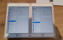 Apple iPad mini 5 2019年新款平板电脑 7.9英寸（64G WLAN版/A12芯片 MUQY2CH/A）金色 实拍图