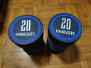 康斯特（KANGSITE）纯钢哑铃套装组合男士健身家用5kg/10kg健身房包胶一体式固定亚玲 PEV圆头哑铃(无味/耐磨/抗摔) 20KG 单只 实拍图