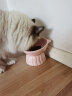 FD.Cattery猫碗陶瓷防黑下巴易清洗易食防打翻高脚护颈猫咪小狗饮水碗猫食盆 晒单实拍图