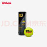 Wilson威尔胜美网比赛训练网球塑罐3粒WRT106200 晒单实拍图