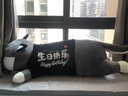 筱兔乖乖哈士奇公仔毛绒玩具狗玩偶布娃娃睡觉抱枕送女友六一儿童节礼物 生日快乐哈士奇 1.5米【+小哈士奇】 实拍图