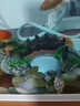 咪贝萌 鱼缸造景桥仿真布景水族箱内饰底部摆件树脂小桥装饰品养鱼用品 小号长14cm 实拍图