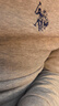 U.S. POLO ASSN.polo衫男翻领秋季纯棉商务休闲长袖t恤男士高端上衣 灰色 L 实拍图