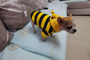 嬉皮狗春秋狗狗小蜜蜂衣服泰迪约克夏小型幼犬可爱带帽包肚衣雨衣家居服 春款#黄黑小蜜蜂卫衣 S(建议体重3-5斤) 实拍图