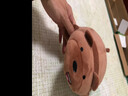 优羽咱们三只裸熊公仔软熊猫抱枕毛绒玩具床上陪睡女生七夕情人节礼物 Grizzly棕熊(趴姿) 28cm 实拍图