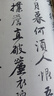 华夏万卷 中国书法传世碑帖精品 唐寅行书落花诗册 毛笔书法原帖拓本字帖 成人学生临摹古帖 简体旁注 晒单实拍图