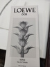 罗意威（LOEWE）事后清晨001男士淡香水75ml木质香调生日礼物自营 实拍图