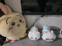 名创优品（MINISO）chiikawa大号挎包站姿公仔毛绒玩具玩偶抱枕礼物女 Usagi乌萨奇 实拍图