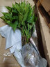 万年青绿植盆栽四季常青植物室内大型家庭花卉客厅 60cm万年青10颗 含盆 实拍图