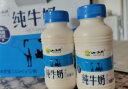 小西牛青海纯牛奶高原儿童孕妇早餐营养牛奶243ml*12瓶/箱 实拍图